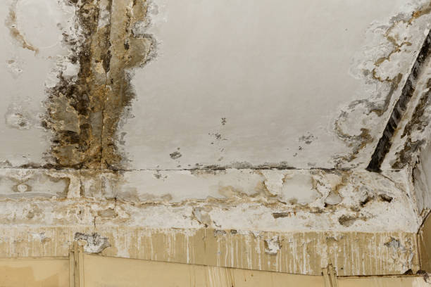 Local water damage restoration